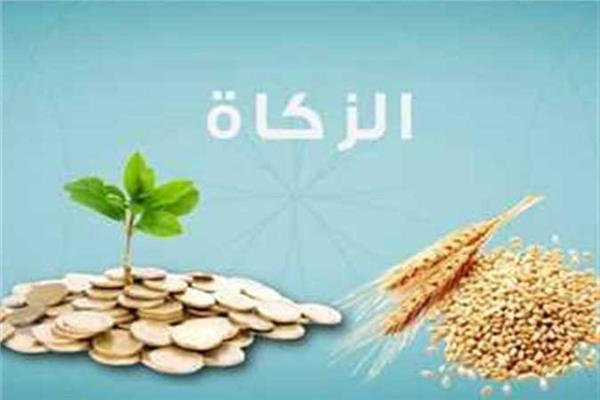 صورة موضوعية 