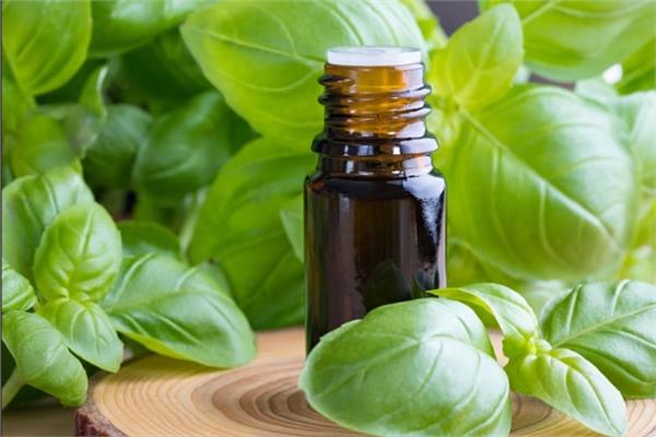 وداعًا لمشاكل بشرتك.. طرق لاستخدام الريحان في روتينك