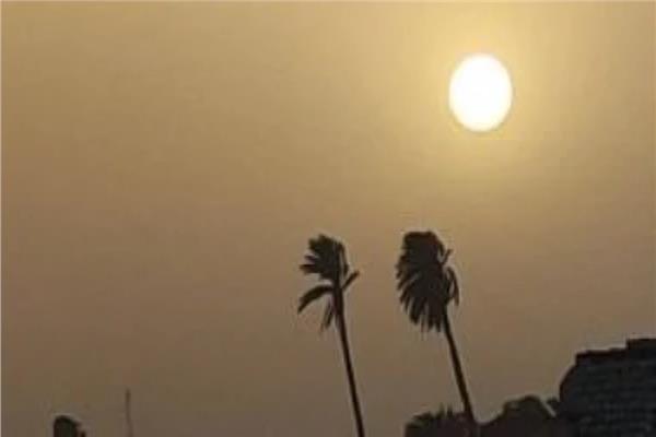 صورة ارشيفيه