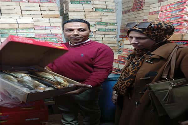 ضبط أكثر من 7 طن أسماك ورنجة وفسيخ مخالفة للمواصفات