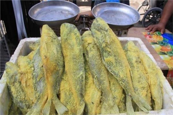 الأسماك المملحة - صورة ارشيفية 