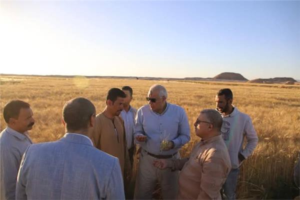 صورة خلال الجولة