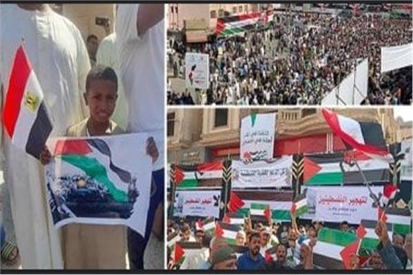 الإعلام المصرية والفلسطينية