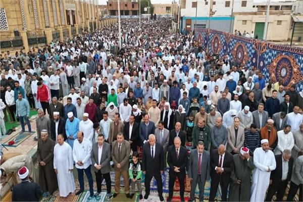 صورة موضوعية