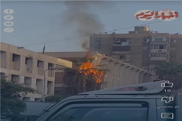 صورة موضوعية
