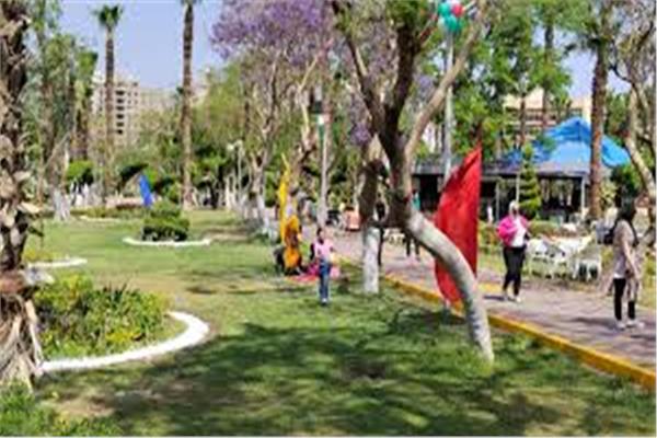 صورة موضوعية