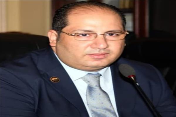 النائب أحمد نويصر ، عضو مجلس النواب