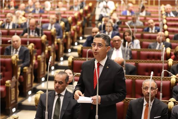 وزير التموين أمام مجلس الشيوخ