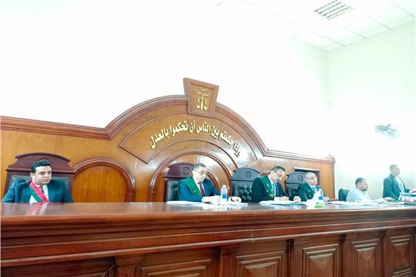 هيئة المحكمة برئاسة المستشار وائل بعيص