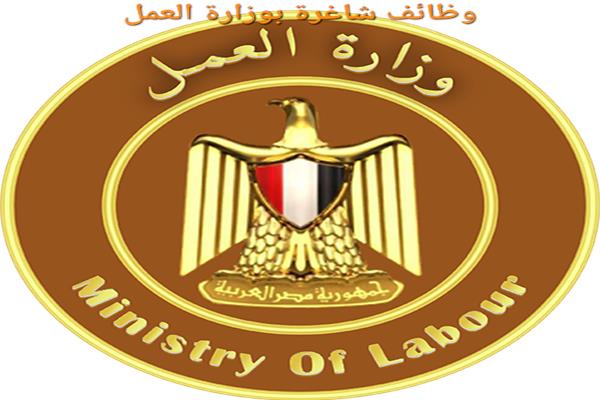 وزارة العمل