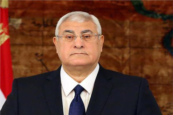 المستشار عدلي منصور صورة أرشيفية