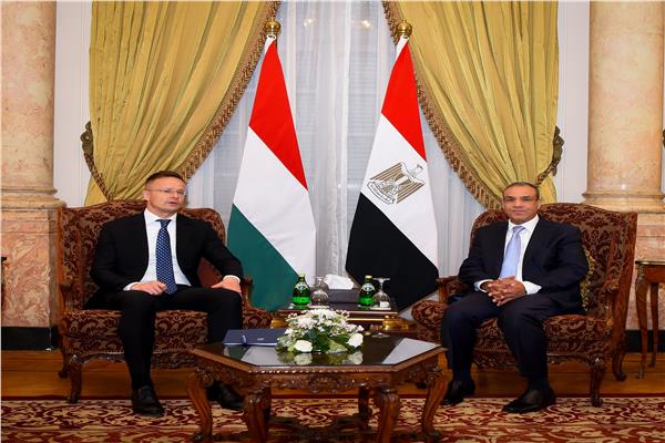 وزير الخارجية ونظيره المجري