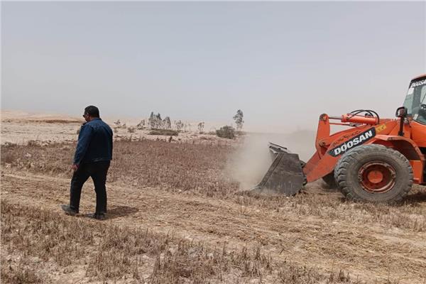 صورة موضوعية
