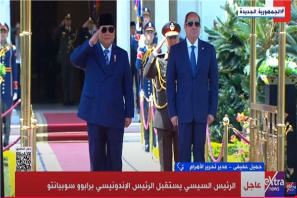 الرئيس السيسي ونظيره الإندونيسي