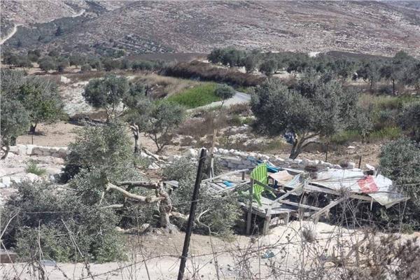 صورة أرشيفية