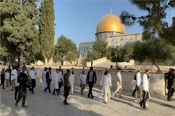 اقتحام المستوطنين المسجد الأقصى