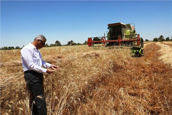 محافظ أسوان خلال إشارة البدء لموسم حصاد القمح لعام 2025