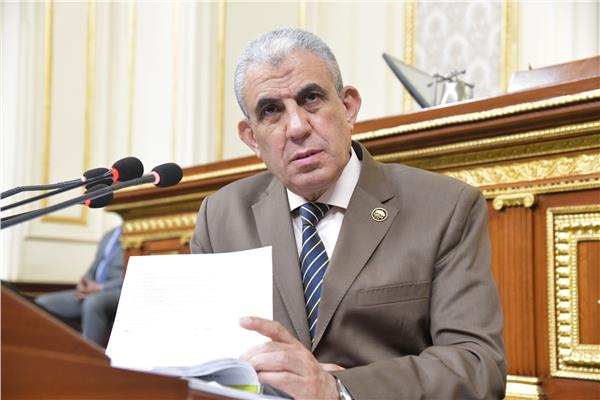 النائب عادل عبد الفضيل