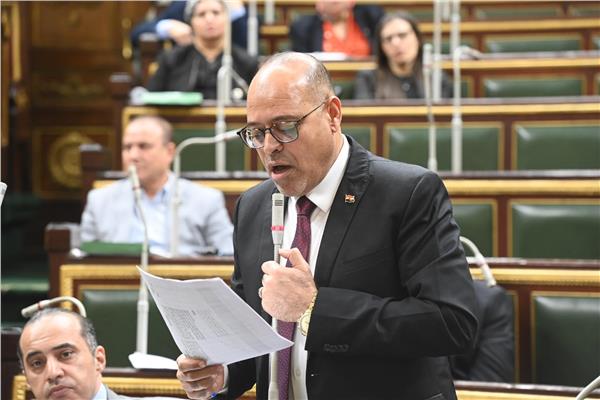  وزير العمل خلال الجلسة العامة لمجلس النواب