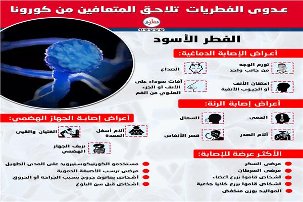  الفطر الأسود