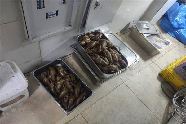 صحة القليوبية تضبط منتجات غذائية مجهولة المصدر داخل محلات ماكولات شهيرة بالعبور