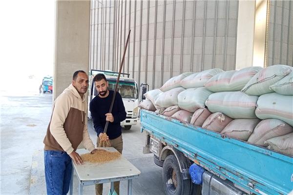 صوامع المنيا