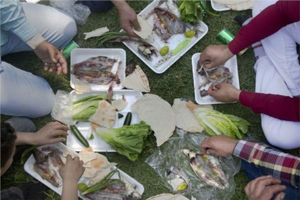 أطعمة يمكنك تناولها في شم النسيم