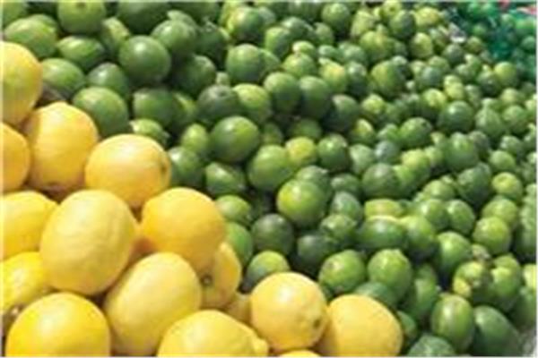 صورة موضوعية