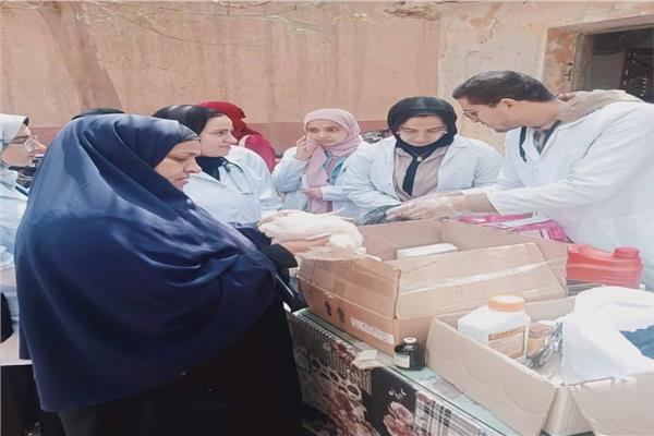 الكشف على ١٥٠٠ حالة في قافلة بيطرية مجانية لجامعة المنوفية بقرية البتانون
