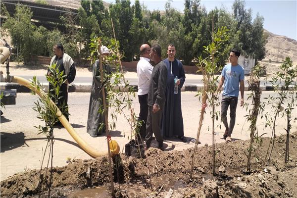 استمرار أعمال التشجير وزراعة الأشجار