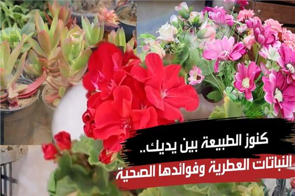 زهور الربيع 2025