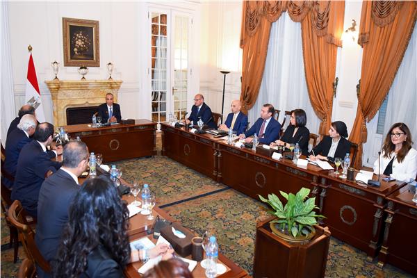 بدر عبد العاطي وزير الخارجية والهجرة 
