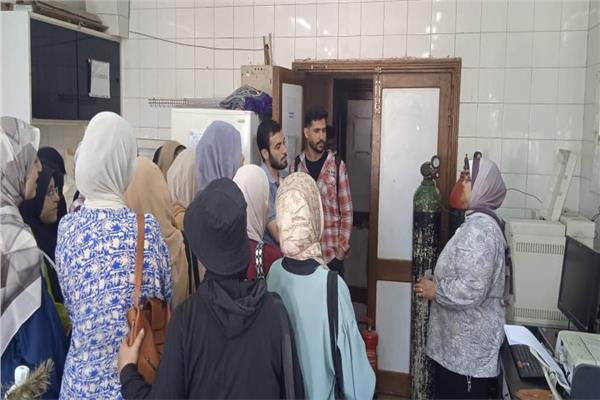 صورة موضوعية