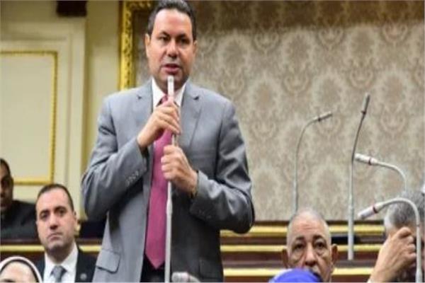 النائب هشام الحصرى رئيس لجنة الزراعة والرى بمجلس النواب