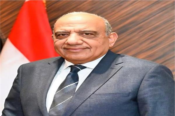 الدكتور محمود عصمت وزير الكهرباء