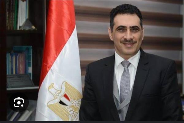 نائب رئيس جامعة القاهرة لشؤون الدراسات العليا والبحوث د. محمود السعيد