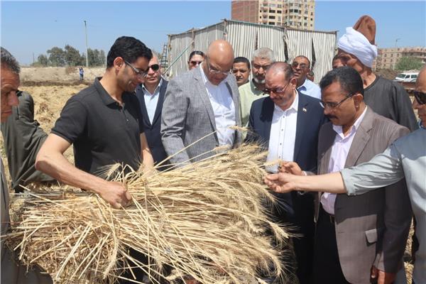 محافظ القليوبية المهندس أيمن عطية