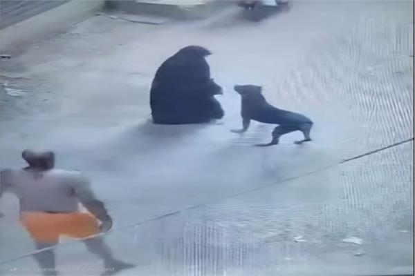 صورة من مقطع الفيديو بالواقعة