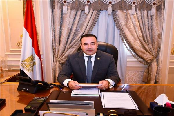 النائب احمد بدوي