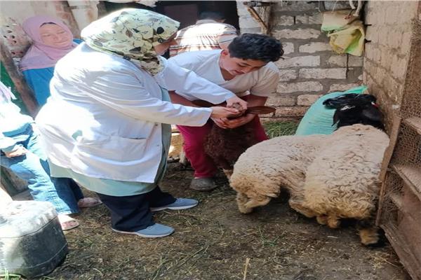 قافلة طبية بيطرية