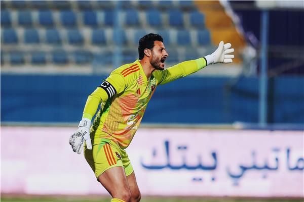 محمد الشناوي