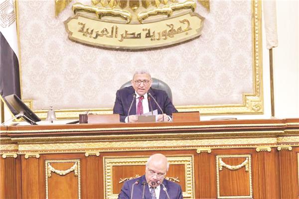 المستشار أحمد سعد الدين وكيل المجلس والنائب محمد عطية خلال الجلسة