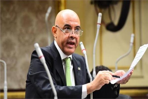 عمرو هندي عضو مجلس النواب