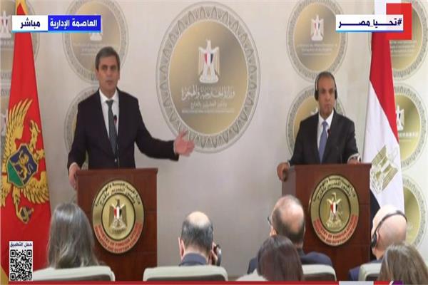 وزير الخارجية ونظيره بالجبل الأسود