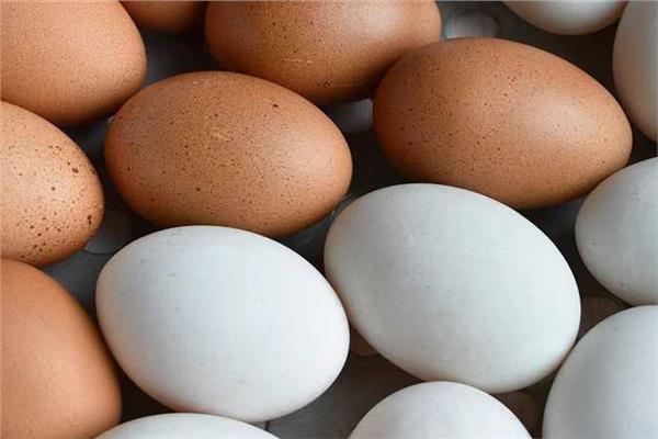 من أزمة البيض إلى حظيرة الحديقة