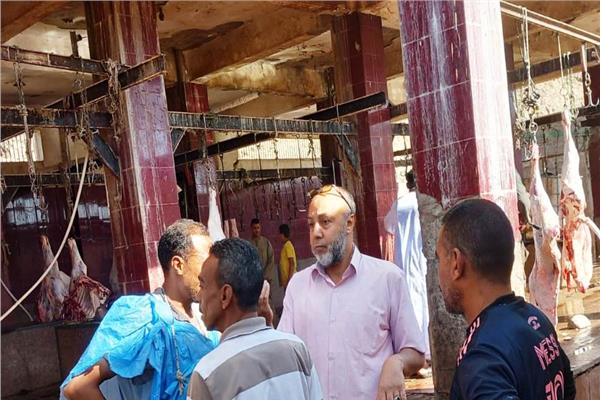 مسئولى الطب البيطرى لتحقيق الجاهزية الكاملة داخل 13 مجزر لذبح لحوم الأضاحى 