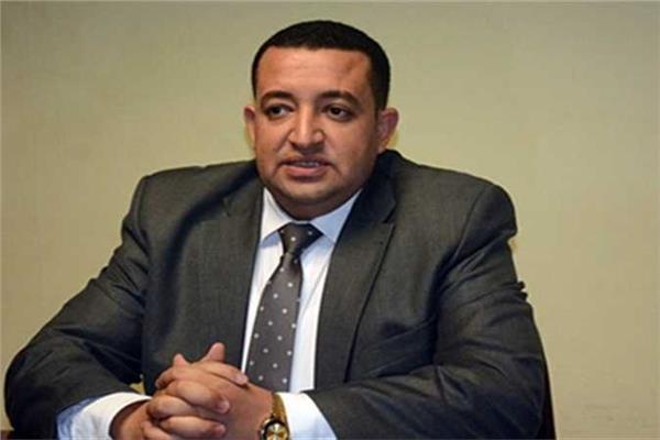 النائب تامر عبدالقادرعضو مجلس النواب