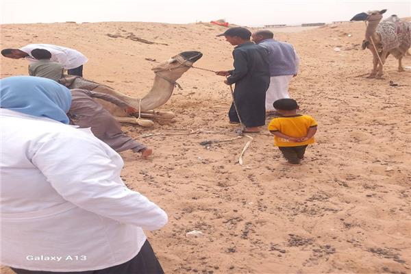 برنامج مسح وبائي للقوافل البيطرية