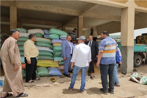 توريد 149 ألف 492 طن قمح بكفر الشيخ