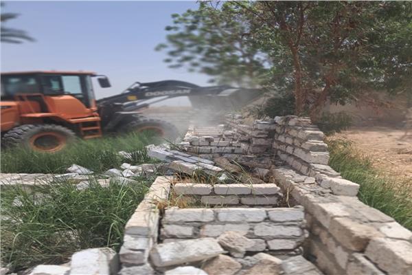 موضوعية